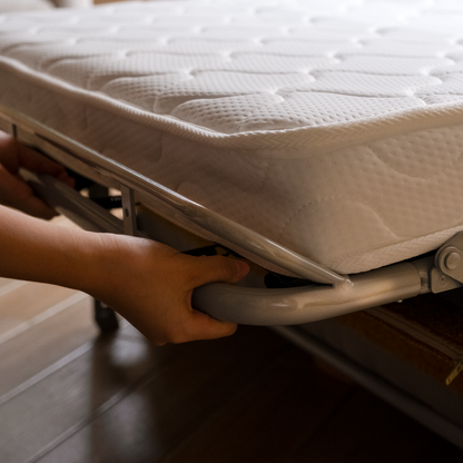貝包沙發 Shell Sofa